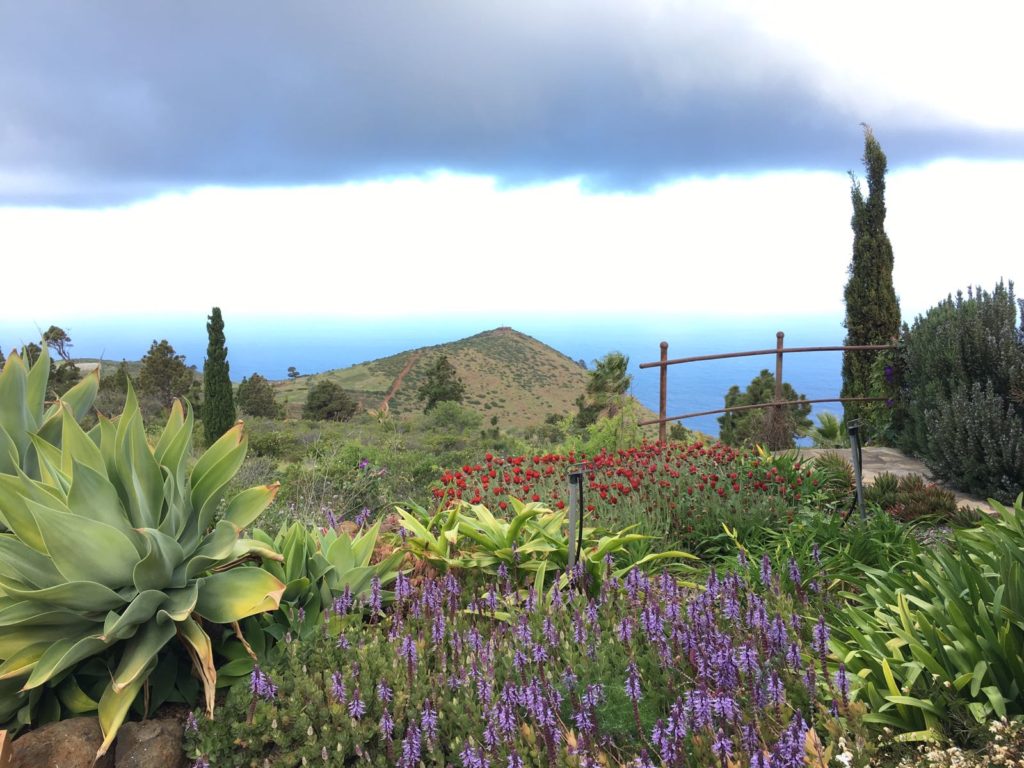 Typischer Blick im Westen La Palma's