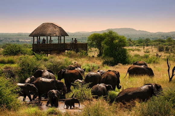 Safari privatvilla afrika