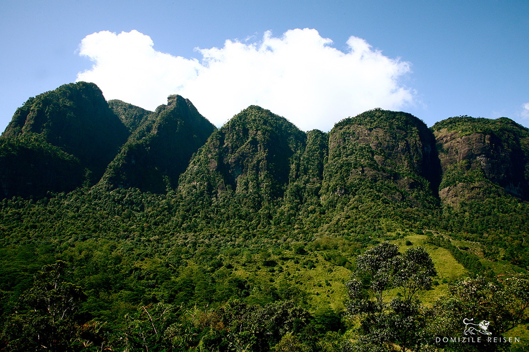 natural virgin mountains in Sri Lanka