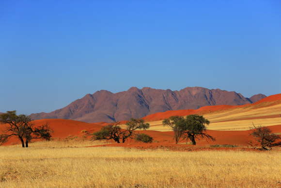 Kanaan Desert Retreat