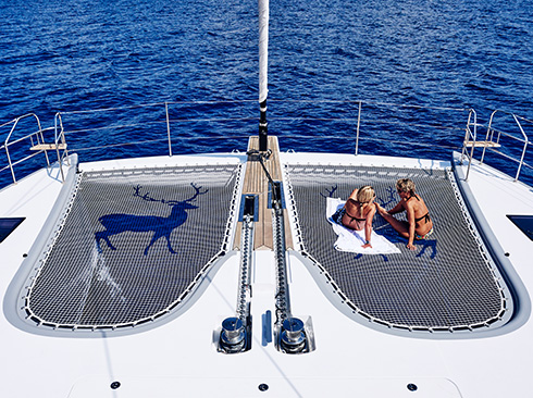 catamaran Blue Deer