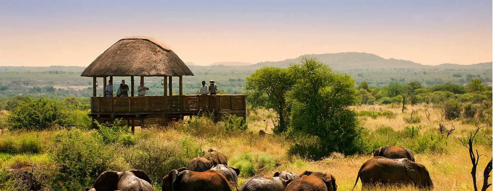 Madikwe Wildreservat